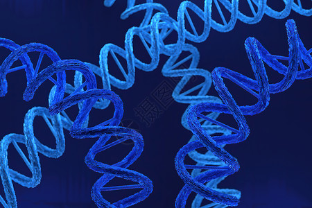 蓝色线条螺旋图DNA 脱氧核糖核酸结构的 3d 渲染3d 插图卫生化学药品螺旋细胞绿色宏观蓝色染色体艺术背景