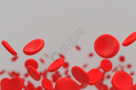 血球遗传的红色的高清图片