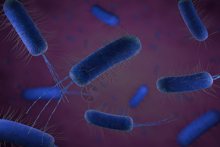 细菌图特写微观细菌 3d 它制作图案流感辉光危险宏观微生物生物技术科学疾病生物学背景
