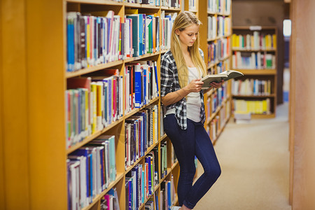 金发学生在书架旁边读书图书馆大学微笑高等教育女性知识文学阅读校园教育背景图片