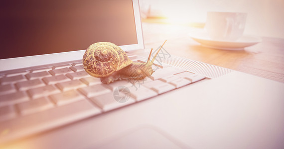 白色背景的蜗牛复合图像Name咖啡笔记本技术影像数码屏幕桌子键盘杯子蜗牛壳背景图片