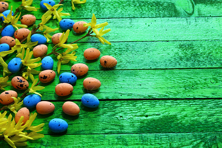 东方植物节问候传统彩蛋装饰贺卡连翘花绿色木板花朵背景图片
