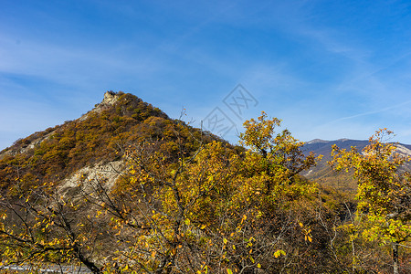 秋天的博里格鲁吉亚秋天风景途径天空明信片蓝色木头森林荒野树叶黄色旅行背景