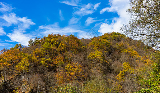 秋天的博里秋季旅游景色红色木头明信片天空旅行森林黄色小路荒野树叶背景