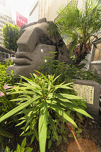 紧贴在被热带花朵包围的莫艾头雕像上聚会部位地标入口历史岩石天赋鼻子花神国际背景图片