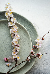 以杏花开花为条件的最低限度餐桌设置环境餐具刀具桌子食物背景图片