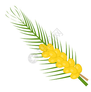 树枝图标新鲜的日期图标风格 孤立在白色背景上的黄色水果 插图剪贴画背景