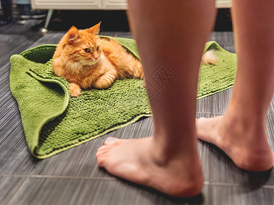 晒伏姜男人走进浴室 看到可爱的姜黄色猫躺在浴室地板上 上面铺着绿色地毯 毛茸茸的有趣宠物在温暖的房间里晒太阳背景