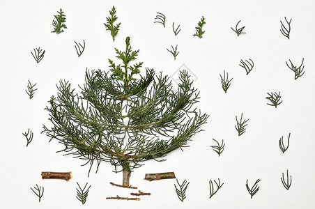 白色背景的圣诞树 新年节日 For Iso星星海报日历明信片假期日志绿色礼物背景图片