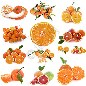 工作室柑橘水果橙子团体食物柚子叶子背景图片