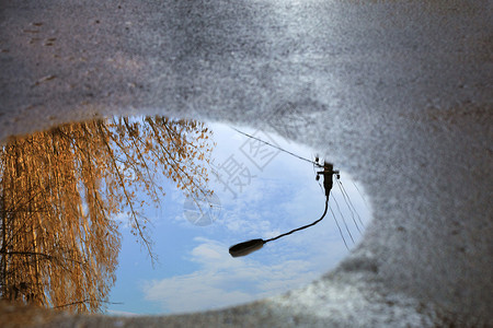 天空的反射一盏路灯的轮廓和一棵阳光照在沥青水坑里的树蓝色镜子木板灯笼场景建筑学天气街道城市艺术背景图片
