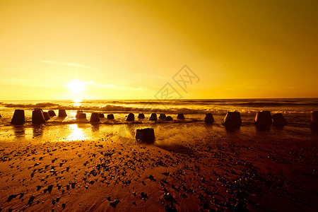 夏季大海的黄金日落背景图片
