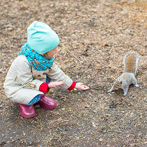 女孩和松鼠小女孩喂松鼠 在中央公园 纽约 美国纽约手指哺乳动物女孩闲暇毛皮饲料栖息地森林野生动物孩子背景