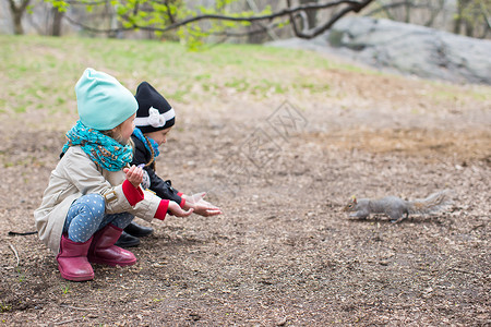 女孩和松鼠小女孩喂松鼠 在中美洲公园 美国纽约的中央公园坚果榛子女孩童年动物婴儿孩子毛皮饲料森林背景