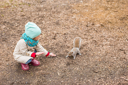 女孩和松鼠小女孩喂松鼠 在中央公园 纽约 美国纽约坚果森林后代闲暇野生动物食物榛子手指女孩栖息地背景
