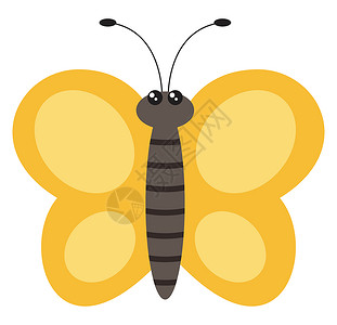 翅膀图标白色背景上的黄色飞行昆虫蝴蝶翅膀动物收藏金子鳞翅目橙子生物学背景