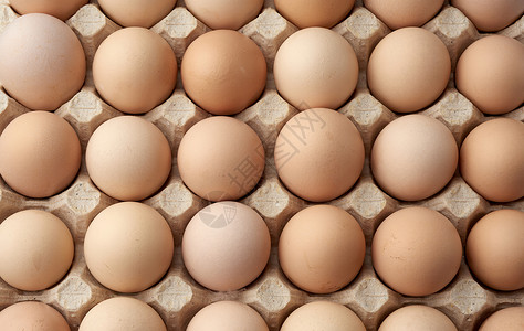 整蛊盒子整包原棕色自制鸡蛋 在纸盘里母鸡盒子团体动物案件营养食物家禽早餐蛋壳背景