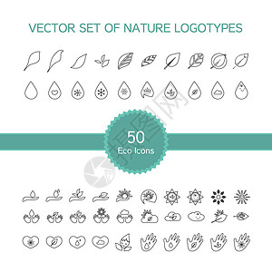 50个生态图标的矢量数据集网络环境活力品牌叶子太阳插图情感呼吸贴纸背景图片