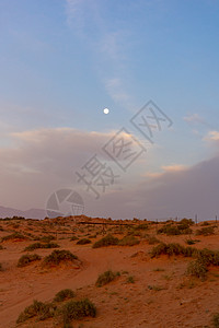 阿拉伯联合酋长国沙漠沙丘的日落之夜背景图片