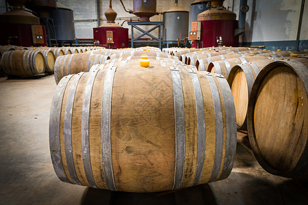 葡萄酒厂地窖里的酒桶酒厂栽培店铺库存木桶酒精食物贮存软木酒窖背景图片