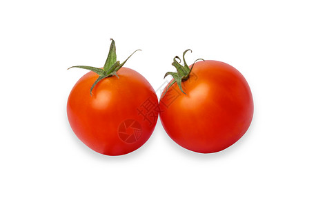 两只西红柿被白底孤立在白色背景上高清图片