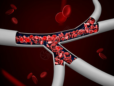 器官管子谷3d 红血细胞静脉说明 包括剪切路径插图形成动脉血小板血栓心血管静脉器官干涉细胞背景