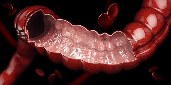 直肠病学结肠消化系统人体解剖学的 3d 插图 孤立的黑色背景