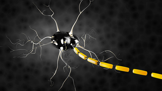 修复神经3d 内核解剖学 光谱孤立的黑色身体信息绘画生理图表神经插图皮肤冲动信号背景