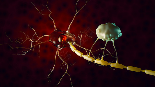 神经干细胞人类插图高清图片