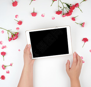 带有空白黑屏和两只女性手的电子平板电脑玫瑰技术药片高架商业销售互联网展示软垫办公室背景图片