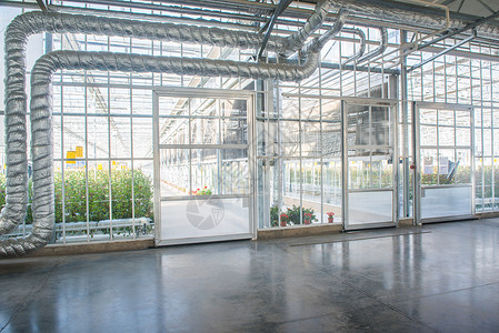 温室的内地农业农场生长玫瑰玻璃商业活力植物种植园房子背景图片