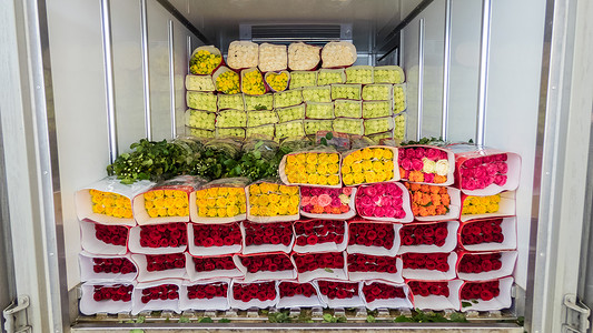 堆叠清酒盒车上的鲜花送货玫瑰零售农业运输园艺商业工作植物群装载机背景