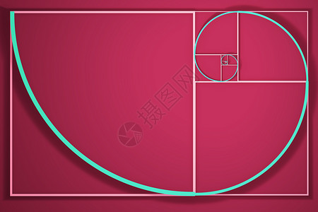 树藤圆圈框架斐波那契螺旋图背景