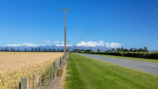 栅栏电线杆新西兰南部泰勒山和赫特山的景象天气玉米森林电线杆公园全景情绪房屋树木植物背景