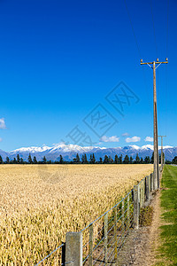 栅栏电线杆新西兰南部泰勒山和赫特山的景象情绪农业蓝色树木街道房屋天气栅栏天空玉米背景