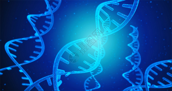 DNA双链人类 DNA 系统 3D 它制作图案下的蓝色 DNA 结构和细胞背景