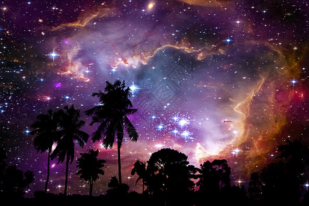 宇宙和鸟类星云和星系的星系 回溯于环形椰子树和N鸟类星星爬坡日落宇宙植物天空森林小说吸引力背景