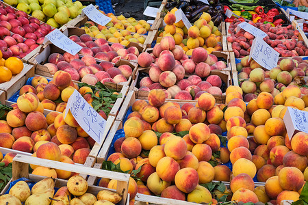 许多桃子不同种类的桃子橙子食物水果农民团体收成饮食李子树叶市场背景
