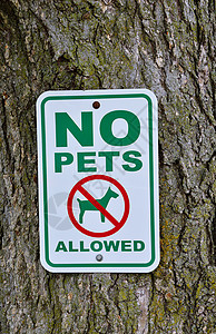 不允许宠物在树上签名高清图片