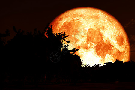 红色万圣节树整个猎人月亮的背影和色彩繁多的天空植物旅行日落科学满月橙子月光月球阴影背景