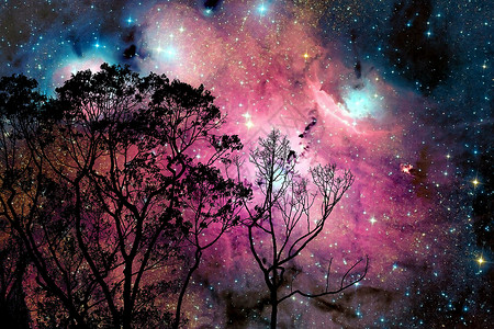 次元空间模糊的星系星云回到树上的夜云天空森林反射轨道星星爬坡吸引力植物地球日落行星背景