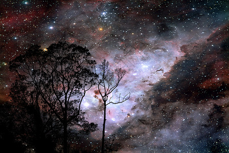次元空间夜云日落时的模糊星系 天空环影枝和树吸引力行星天空星星宇宙地球植物爬坡反射轨道背景
