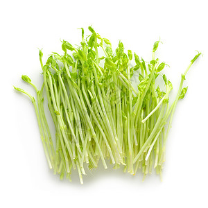 豌豆芽纤维白色的高清图片