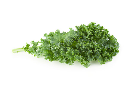 清新有机绿色甘蓝树叶 白背景隔绝沙拉美食情调食物药品营养叶子草本植物纤维植物背景图片
