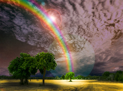 愿真主保佑彩虹 黑暗和公园的天空树背景图片