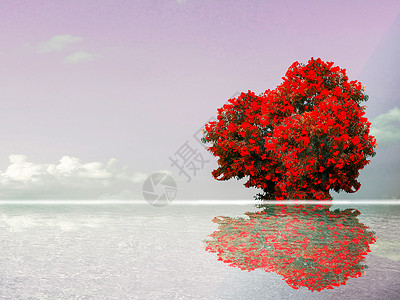 红红色花朵反光 云云云云湖水面背景图片