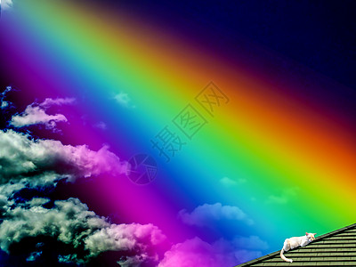 拖着彩虹猫上帝的彩虹 在天顶黑暗天空背景上猫背景