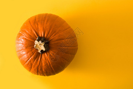 黄色背景的南瓜派对橙子诡计尖叫庆典季节性背景图片