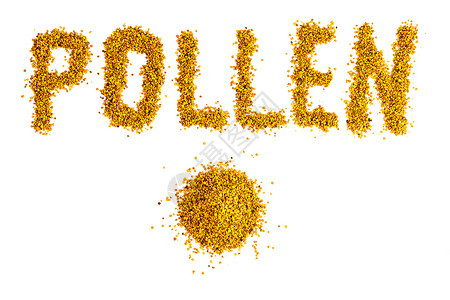 白色粒子颗粒白色背景上分离的蜜蜂花粉颗粒字母和小堆背景