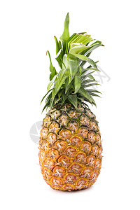 在工作室的白色背景上的菠萝热带饮食食物黄色绿色营养果汁情调摄影水果背景图片